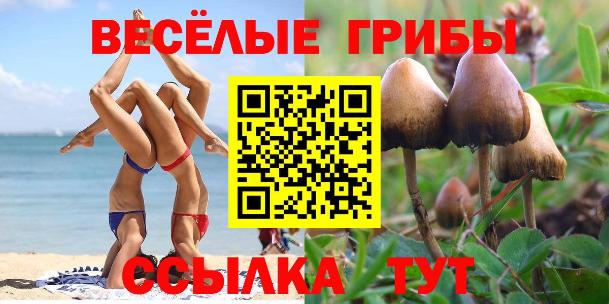 Псилоцибиновые грибы GOLDEN TEACHER Коркино